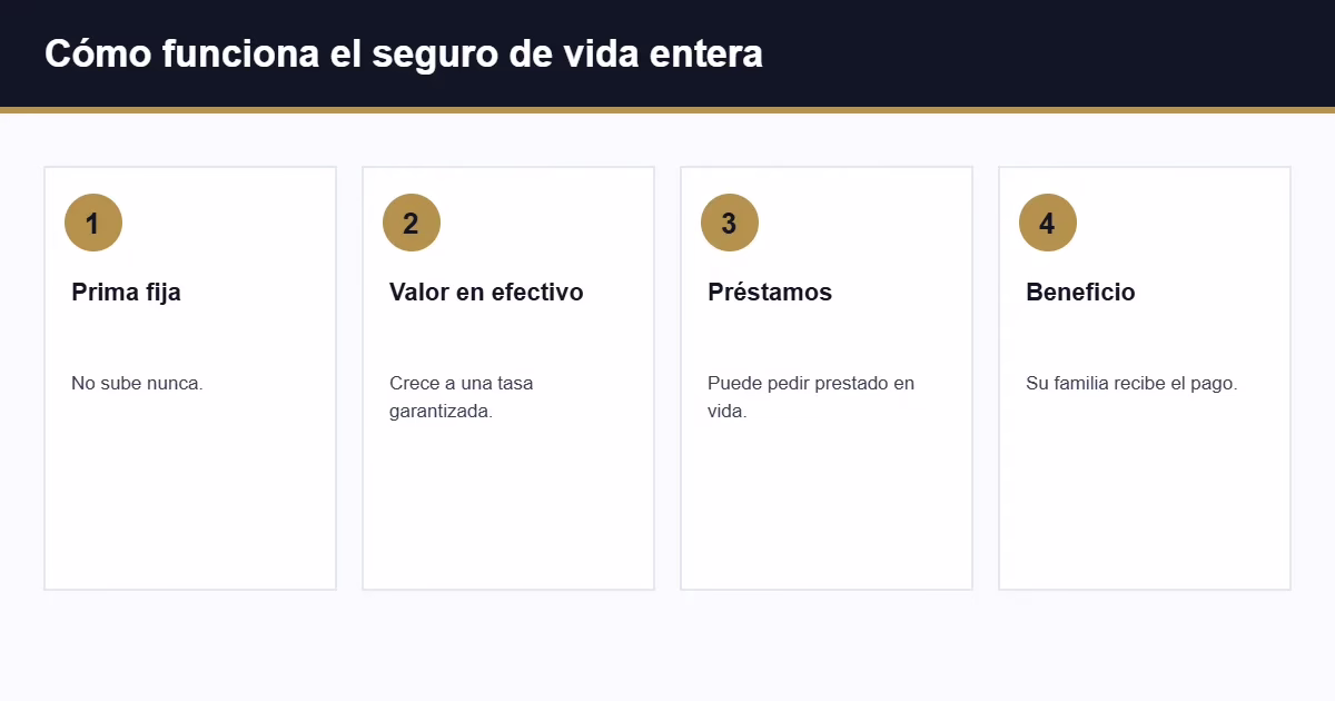 Cómo funciona el seguro de vida entera y su valor en efectivo