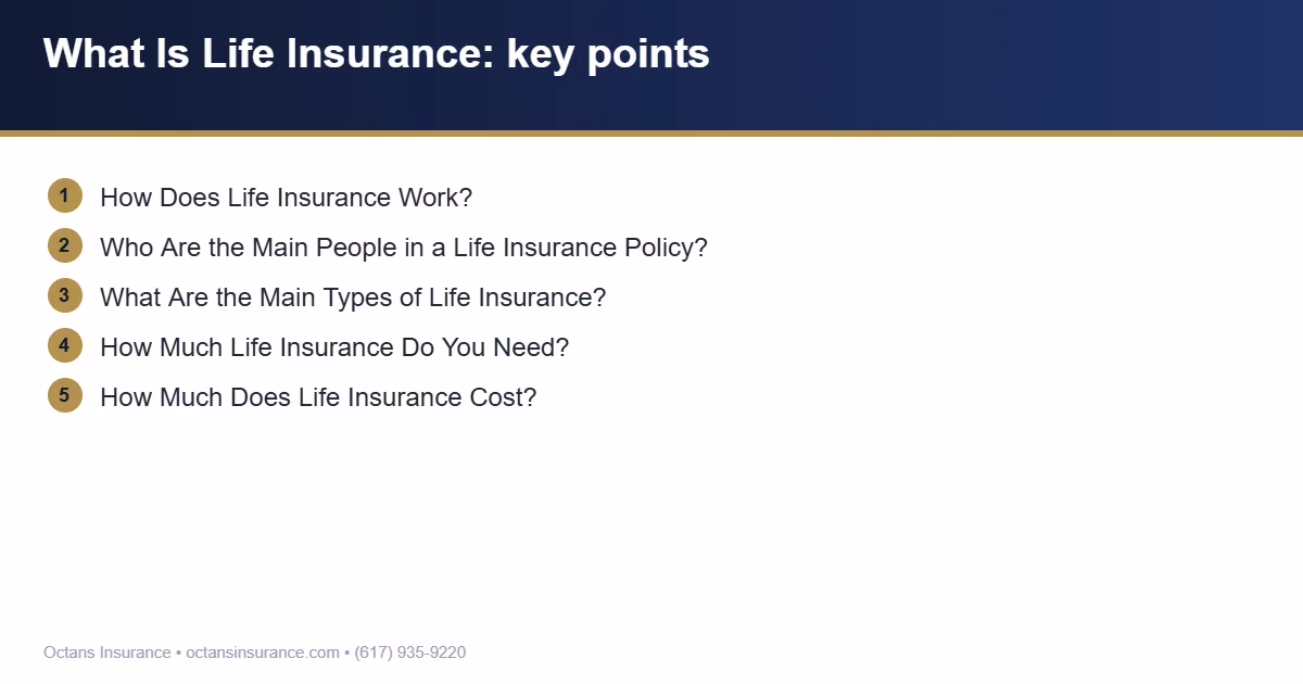 What Is Life Insurance key points summary